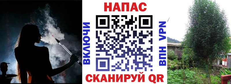 Магазины продажи наркотиков Кедровый МАРИХУАНА  Галлюциногенные грибы  ГАШ  LSD-25  Меф 