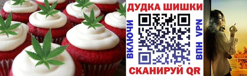 Cannafood конопля  Кедровый 