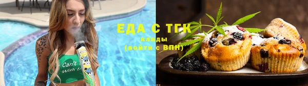 Альфа ПВП Инсар
