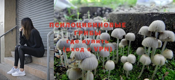 дурь Иннополис