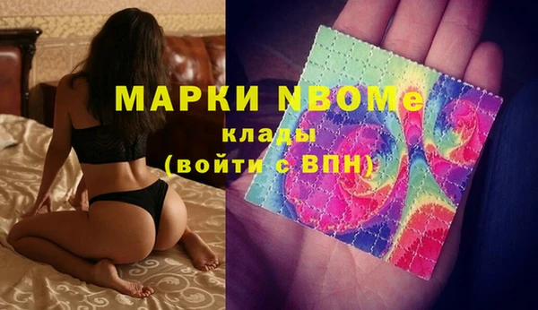 Альфа ПВП Инсар