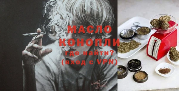 Альфа ПВП Инсар