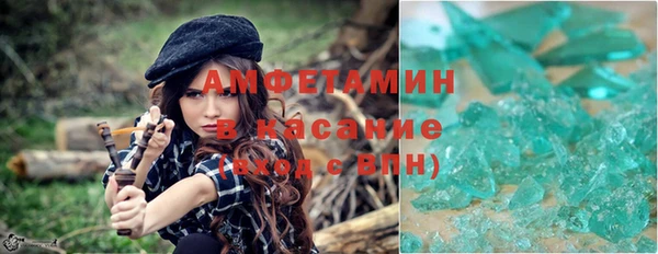 Альфа ПВП Инсар