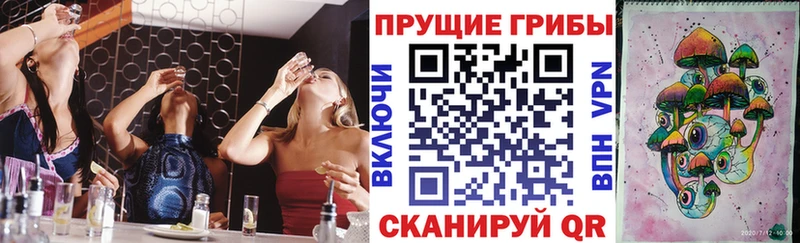 omg маркетплейс  где можно купить наркотик  Кедровый  Галлюциногенные грибы прущие грибы 