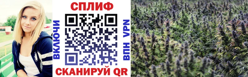 omg зеркало  Кедровый  Бошки Шишки SATIVA & INDICA 